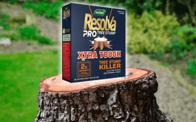 How to use Resolva Tree Stump Killer